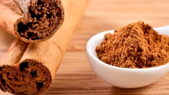 Simpatia da canela primeiro dia do mês atrai dinheiro e sorte