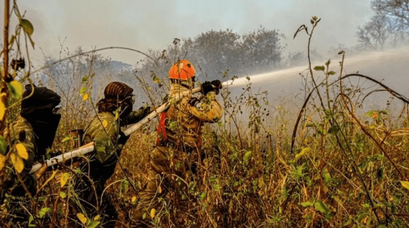 Foto mostra bombeiros apagando fogo em incêndios no Pantanal 
