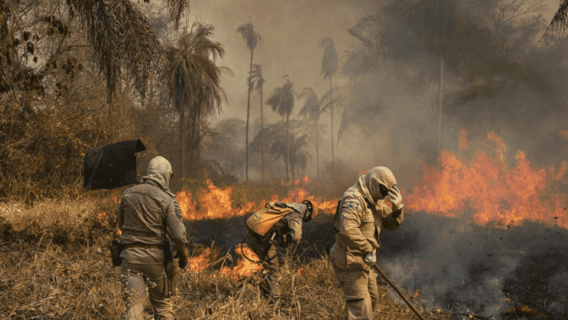 Queimadas no Pantanal: helicóptero da Força Nacional cai durante combate a incêndio