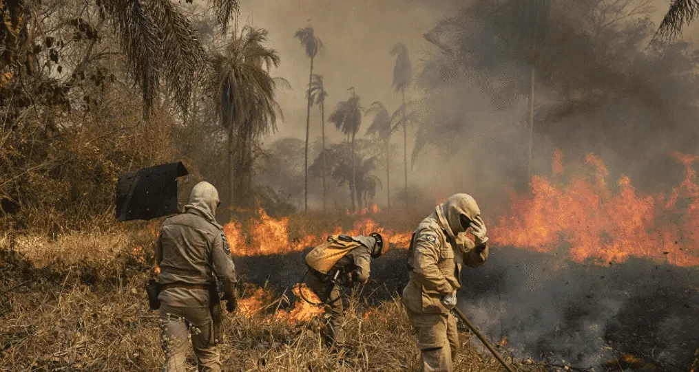 Trabalhadores lutam contra queimadas