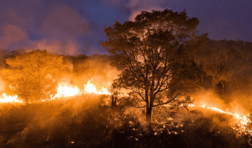 Imagem mostra o Pantanal em chamas