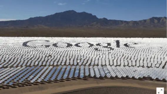 Google assume compromisso para operar com zero carbono até 2030