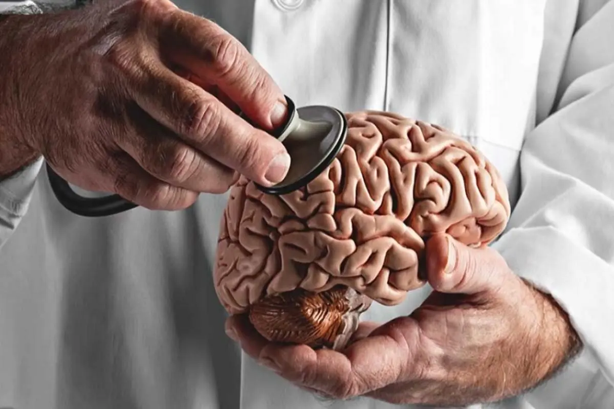 Ameba Comedora de Cérebro