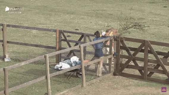 A Fazenda 2020: Stéfani não recebe ajuda em tarefa e reclama muito