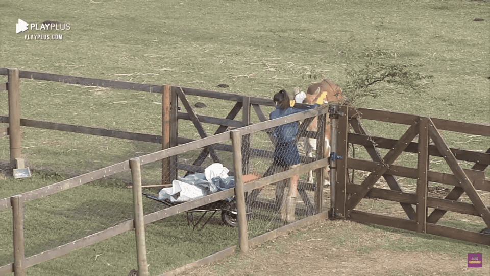 Na imagem, Stéfani Bays realiza tarefa em A Fazenda 2020