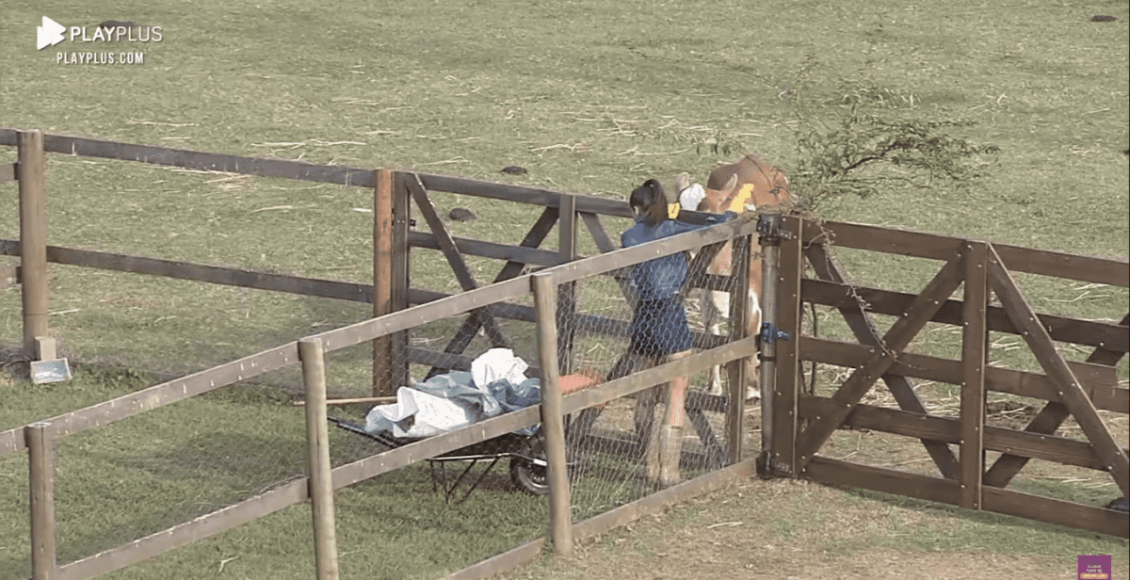 Na imagem, Stéfani Bays realiza tarefa em A Fazenda 2020