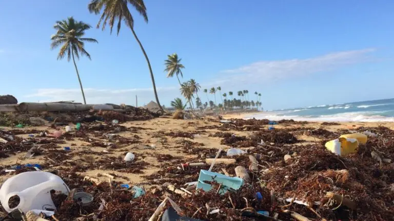 3 tipos de desastres climáticos e o que você pode fazer para reverter isso