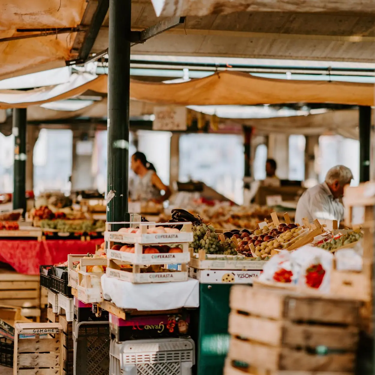 Desastre climático como evitar
