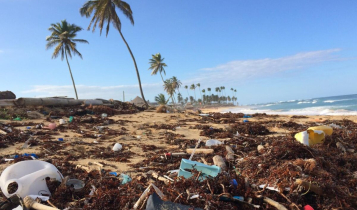 3 tipos de desastres climáticos e o que você pode fazer para reverter isso