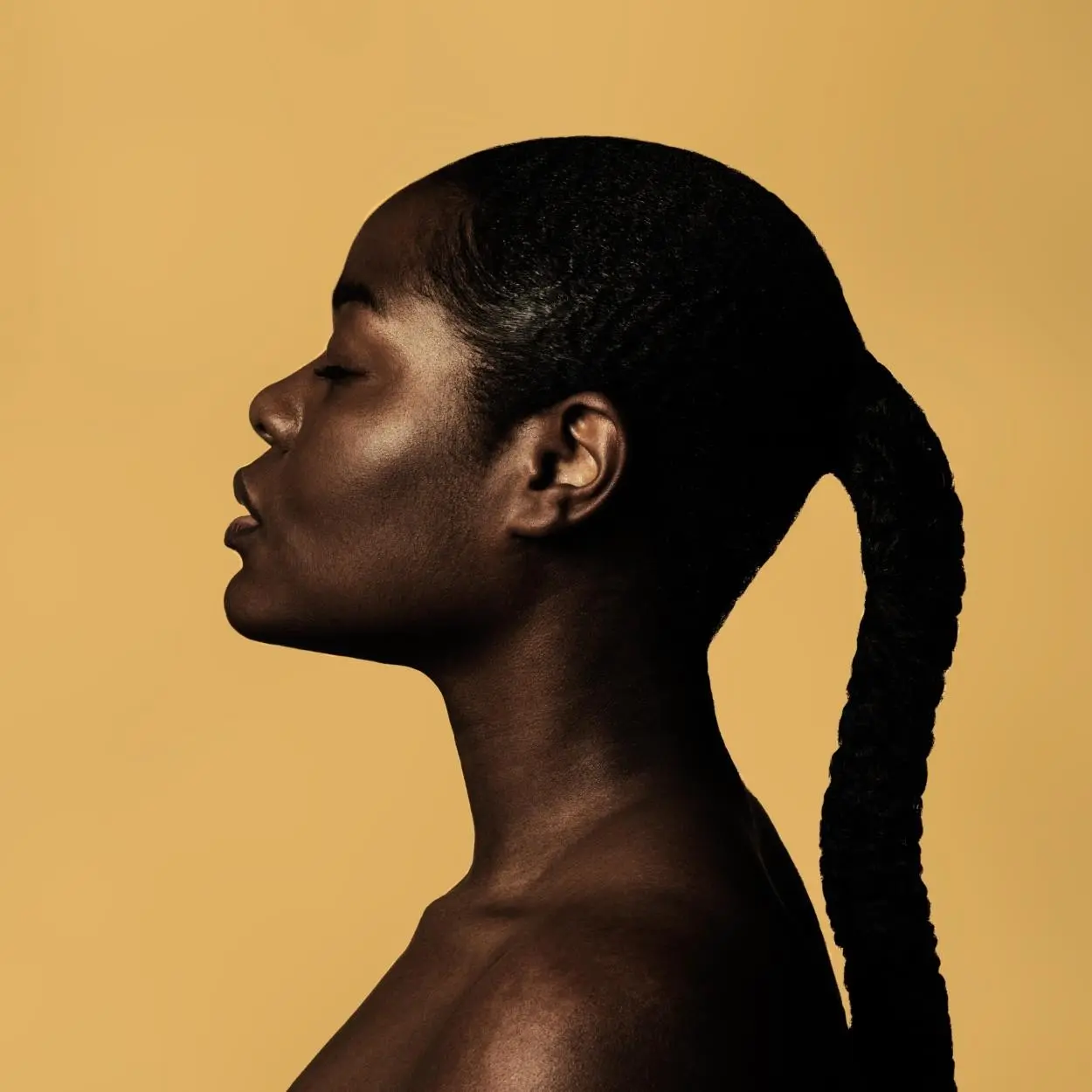 escala de fitzpatrick 2