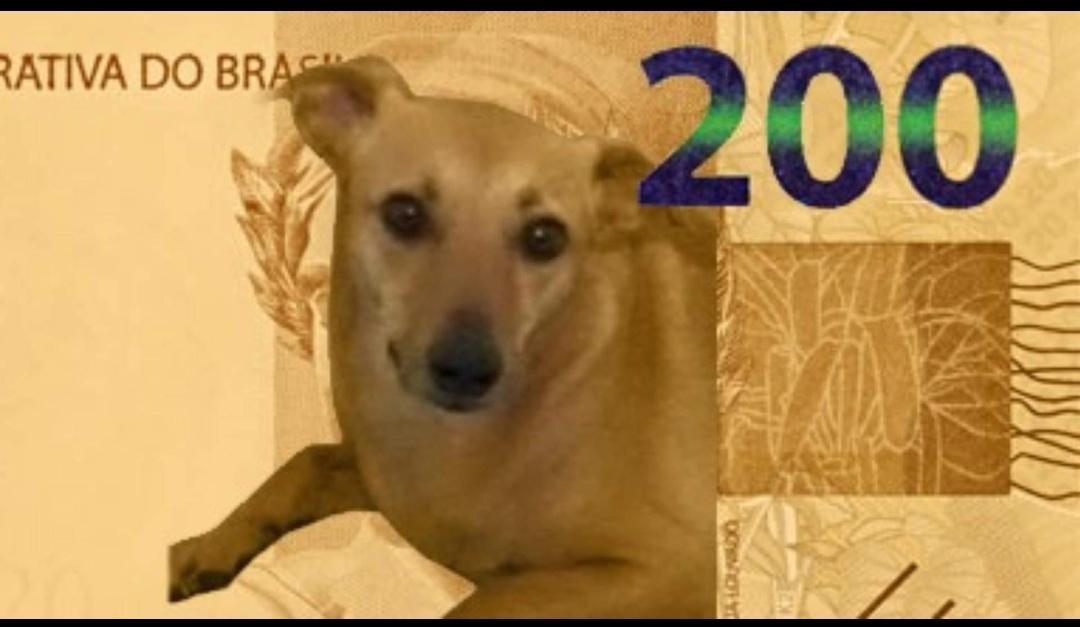 Vira-lata caramelo na nota de r$200 (montagem)