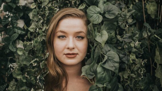 Hera: tipos e cuidados básicos para a saúde da planta trepadeira