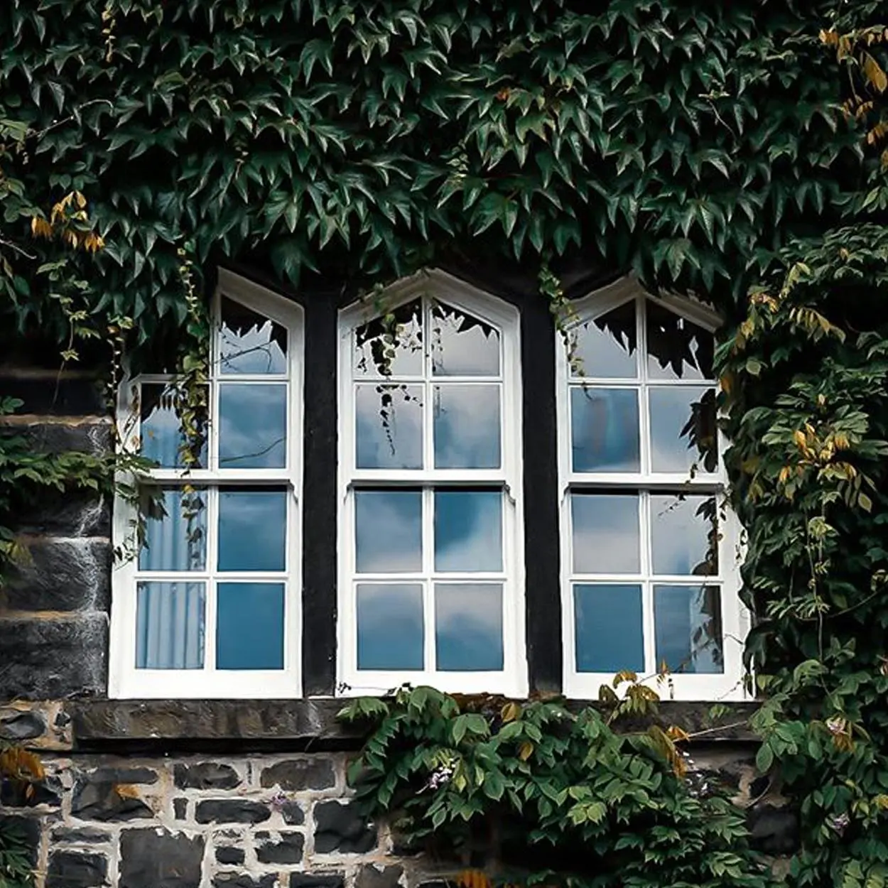 Hera do Japão Hera japonesa