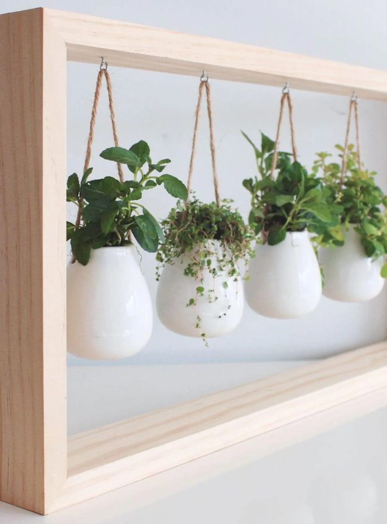 um quadro de plantas um quadro de plantas
