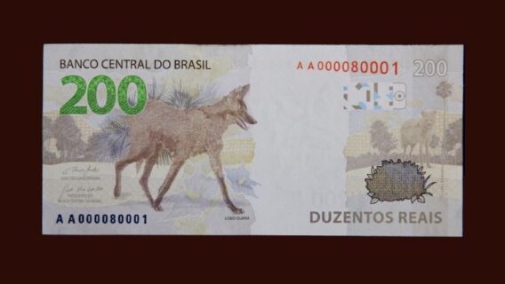 Na contramão do mundo: por que a nova nota de R$ 200?