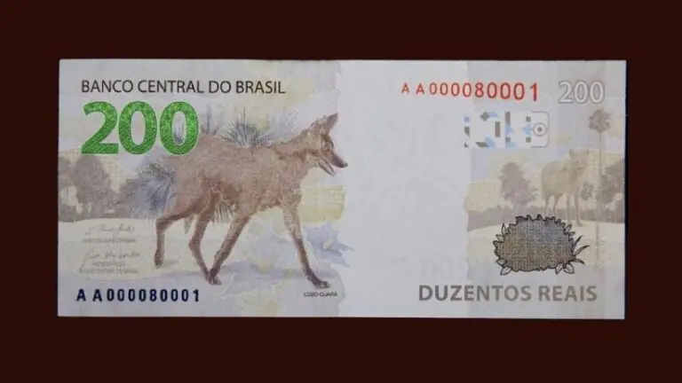 Na contramão do mundo: por que a nova nota de R$ 200?