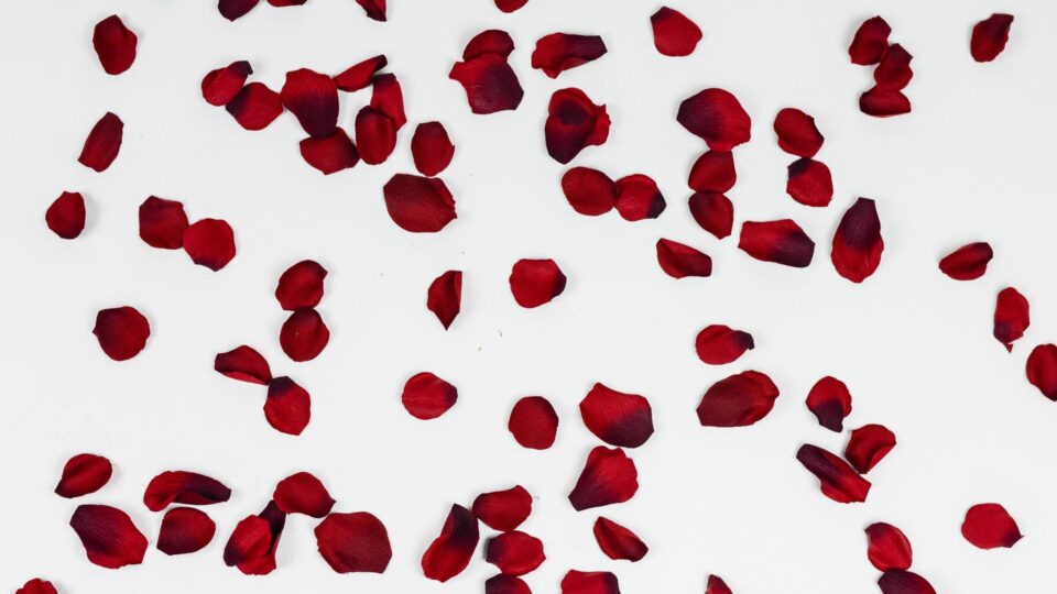 rituais para a lua cheia de outubro