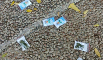 maconha no céu de Israel