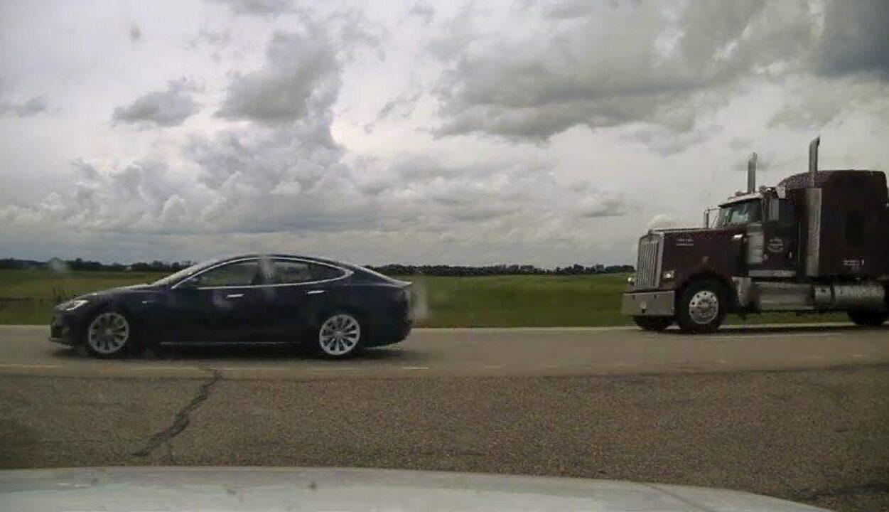 motorista de tesla