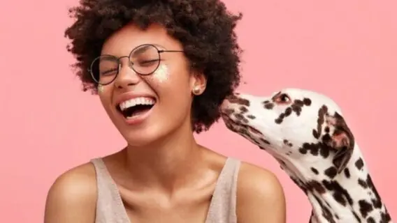 Nomes para cachorro: 500 ideias originais e criativas para seu pet