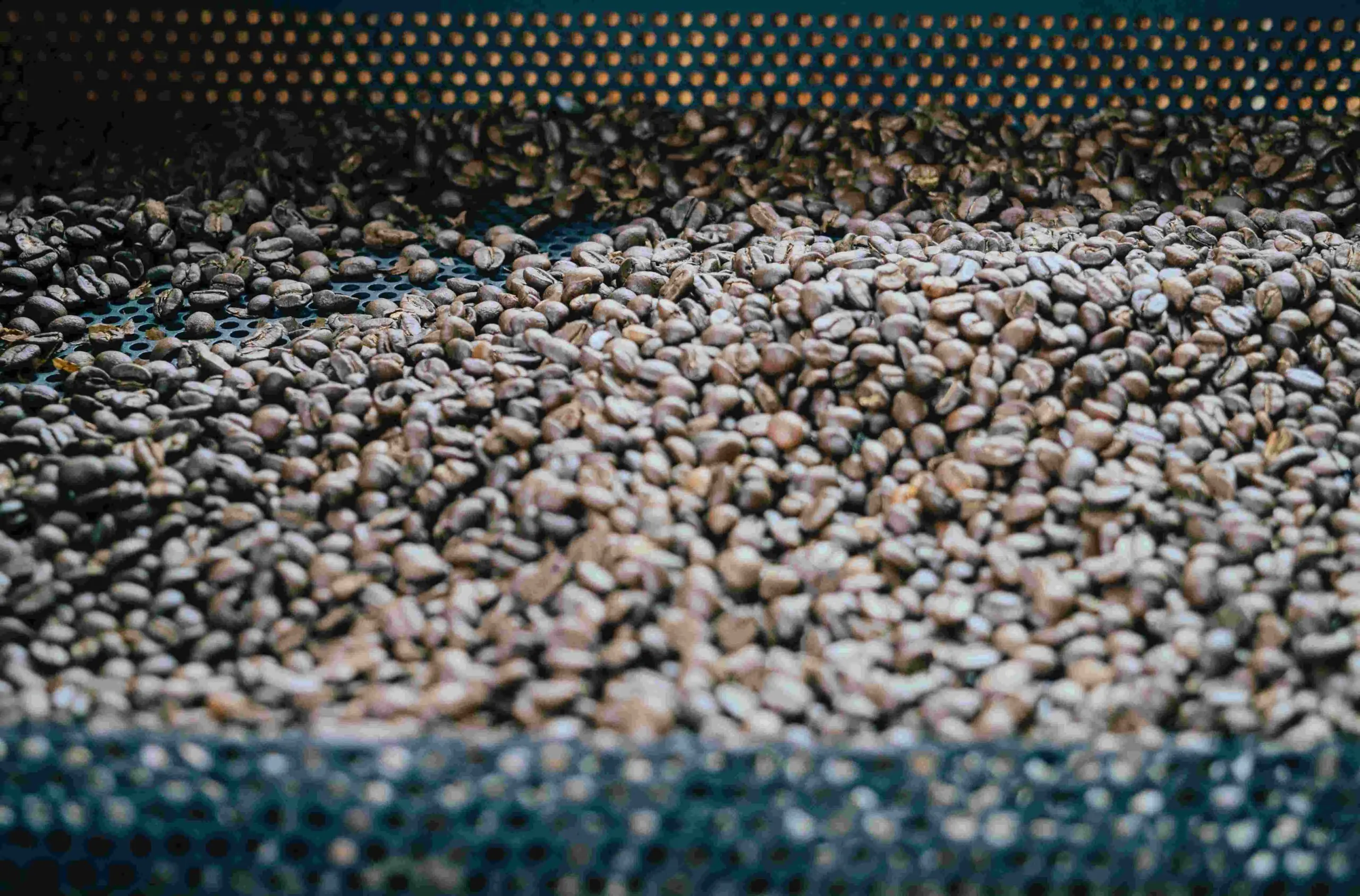 Café gourmet passando pela torra