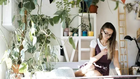 Peperômia: saiba como cuidar dessa planta charmosa e versátil