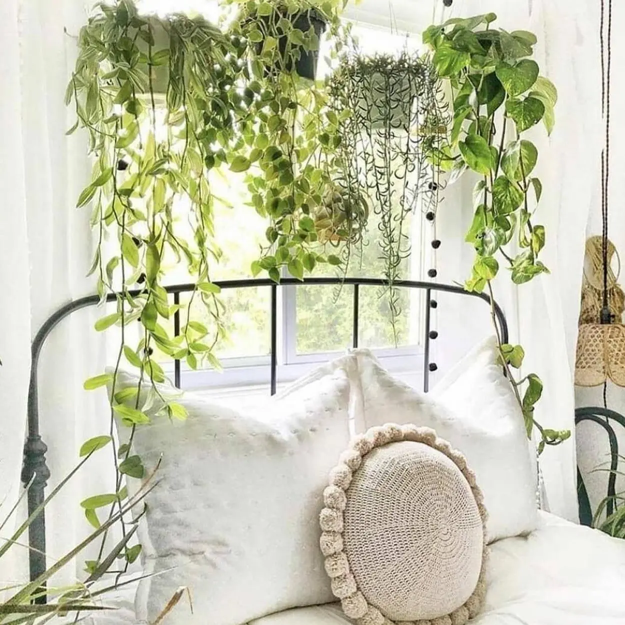 Quarto com plantas pendentes