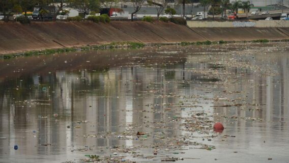 Pandemia reduz poluição no Rio Tietê; entenda o porquê