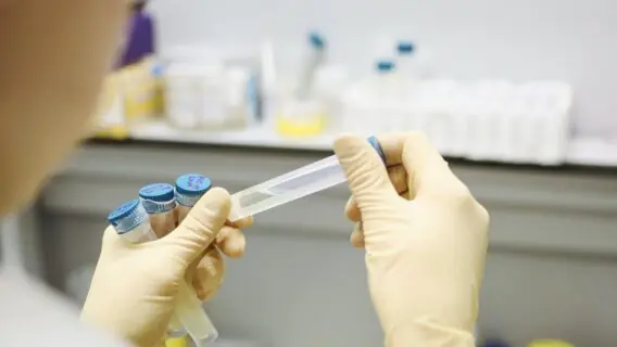 Rússia pretende lançar segunda vacina contra covid-19 até 15 de outubro