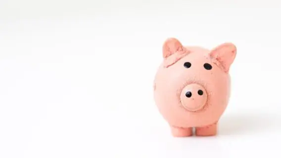 7 serviços gratuitos que você tem direito e não sabe