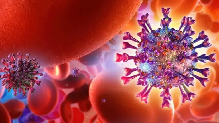 Tipos de coronavírus: descubra quais são, sintomas e como se prevenir