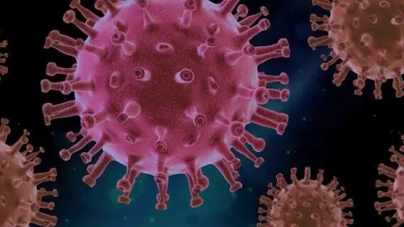 Coronavírus: vacina russa avança e produz resposta imune