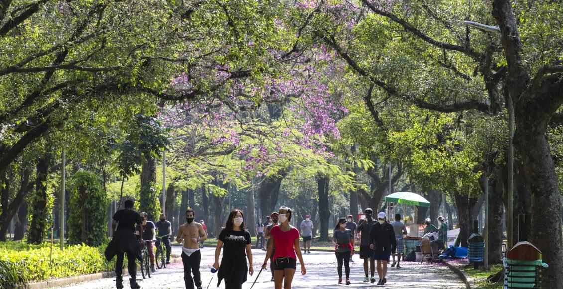 Lazer no Parque do Ibirapuera é possível nos feriados de novembro. Foto: Rovena Rosa/Agência Brasil