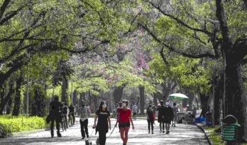 Lazer no Parque do Ibirapuera é possível nos feriados de novembro. Foto: Rovena Rosa/Agência Brasil