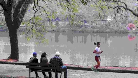 Parques de São Paulo voltam a funcionar aos finais de semana