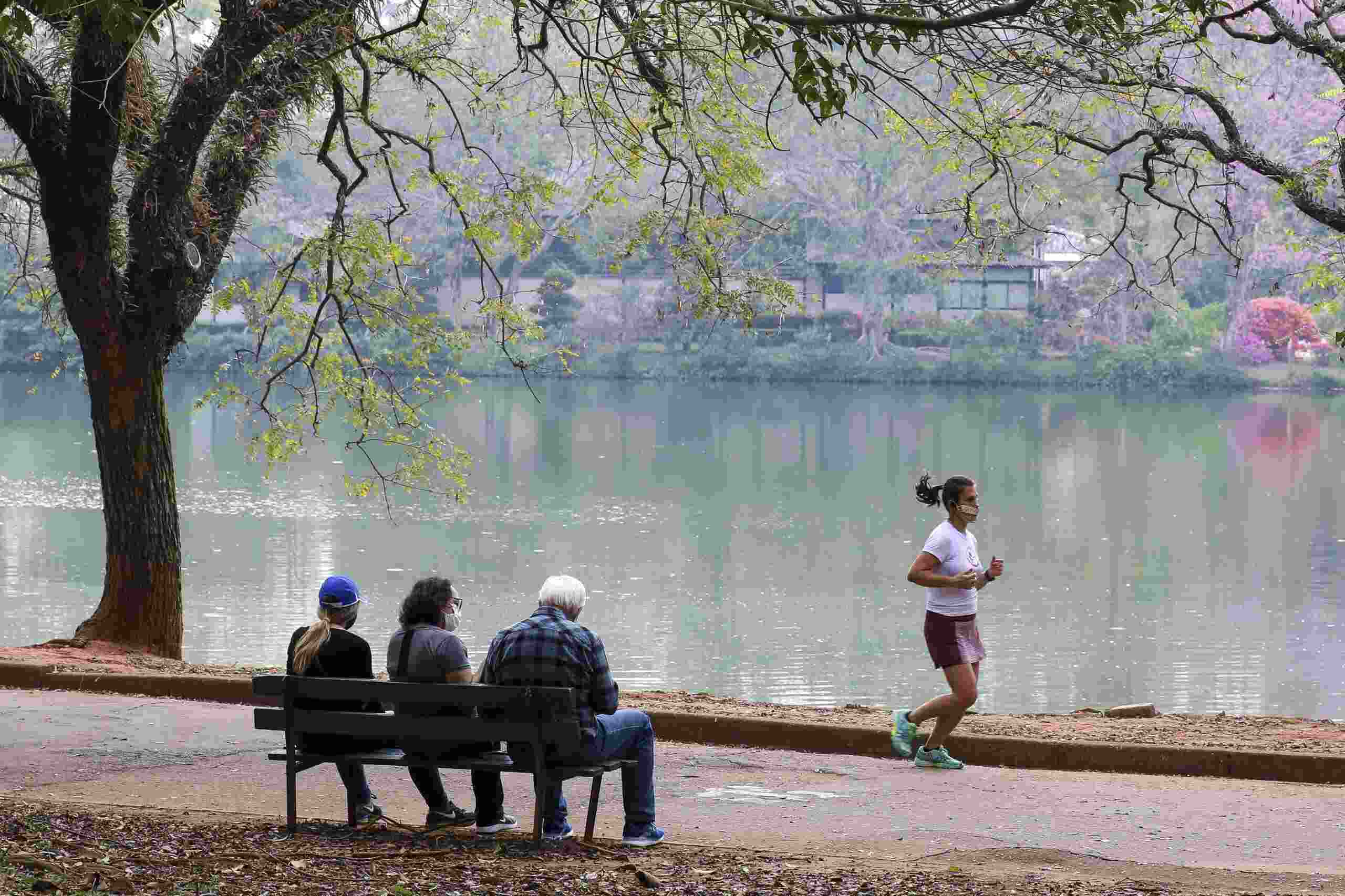 Lazer no Parque do Ibirapuera após a flexibilização do isolamento social durante a pandemia de covid-19. Foto: Rovena Rosa/Agência Brasil