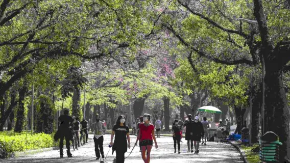 Novembro pode ter 2 feriadões prolongados; veja as datas