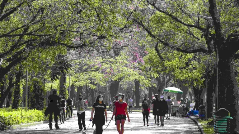 Novembro pode ter 2 feriadões prolongados; veja as datas