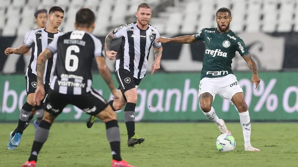 palmeiras e botafogo