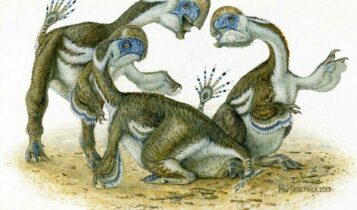 Dinossauro parecido com papagaio