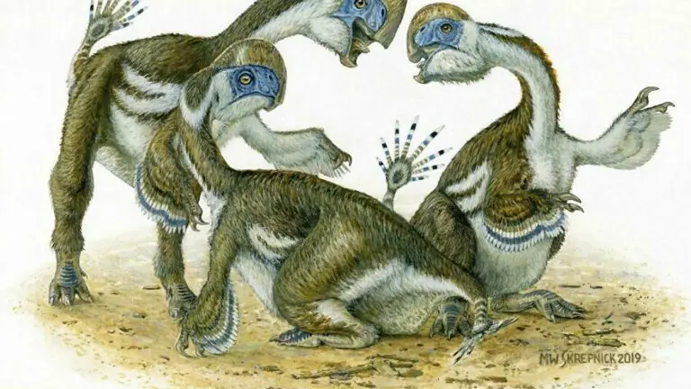 Dinossauro parecido com papagaio é descoberto na Mongólia