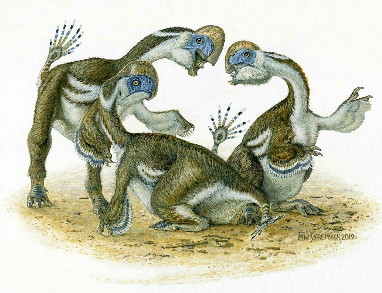 Dinossauro parecido com papagaio