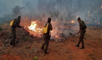 Onda de calor pode potencializar incêndios ambientais
