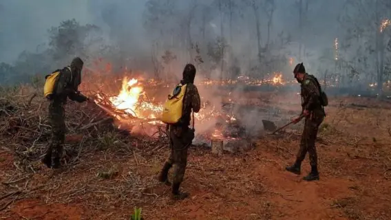 Onda de calor pode potencializar incêndios ambientais