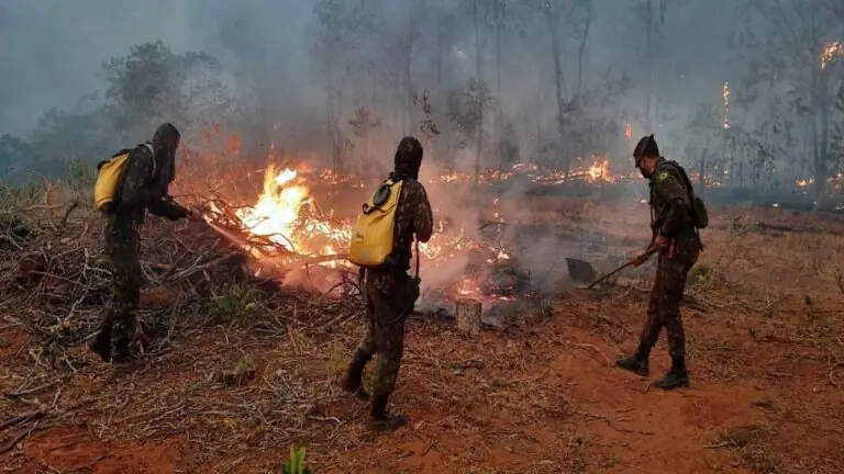 Onda de calor pode potencializar incêndios ambientais