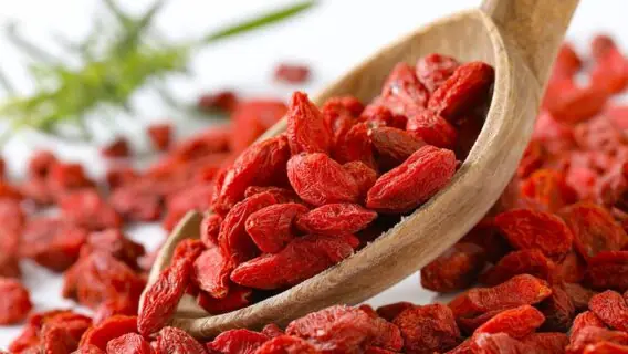 Benefícios do goji berry para a saúde  