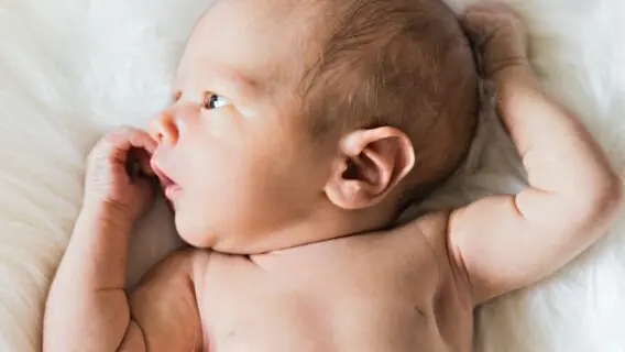 Microevolução humana: muitos bebês estão nascendo sem os dentes do siso e com uma artéria extra