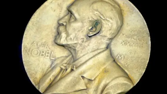 Americanos ganham prêmio Nobel de Economia 2020 pela teoria do leilão