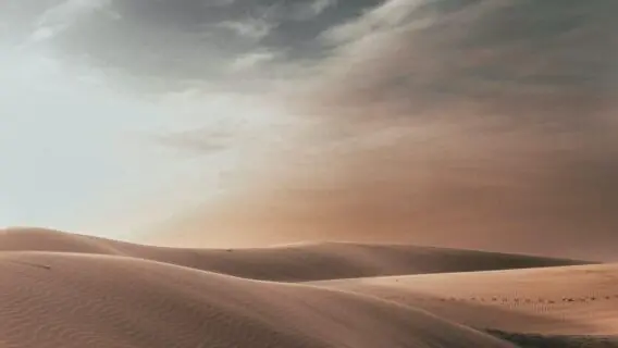 Coreia do Norte lança alerta sobre “poeira amarela” que vem da China