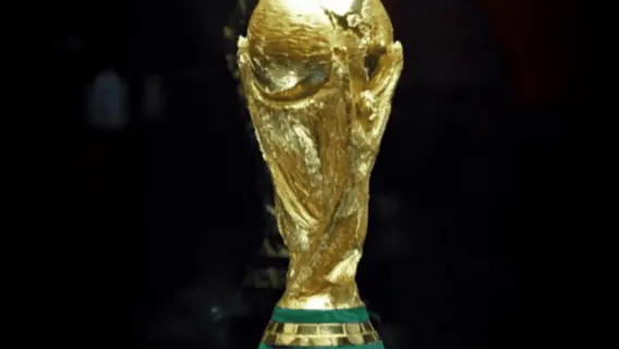 Principais campeonatos de futebol disputados no Brasil e no mundo